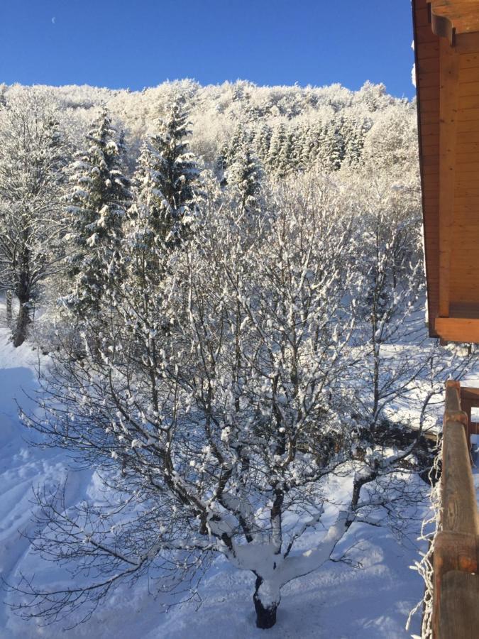 Casa Dalsass Leilighet Cavedago Eksteriør bilde
