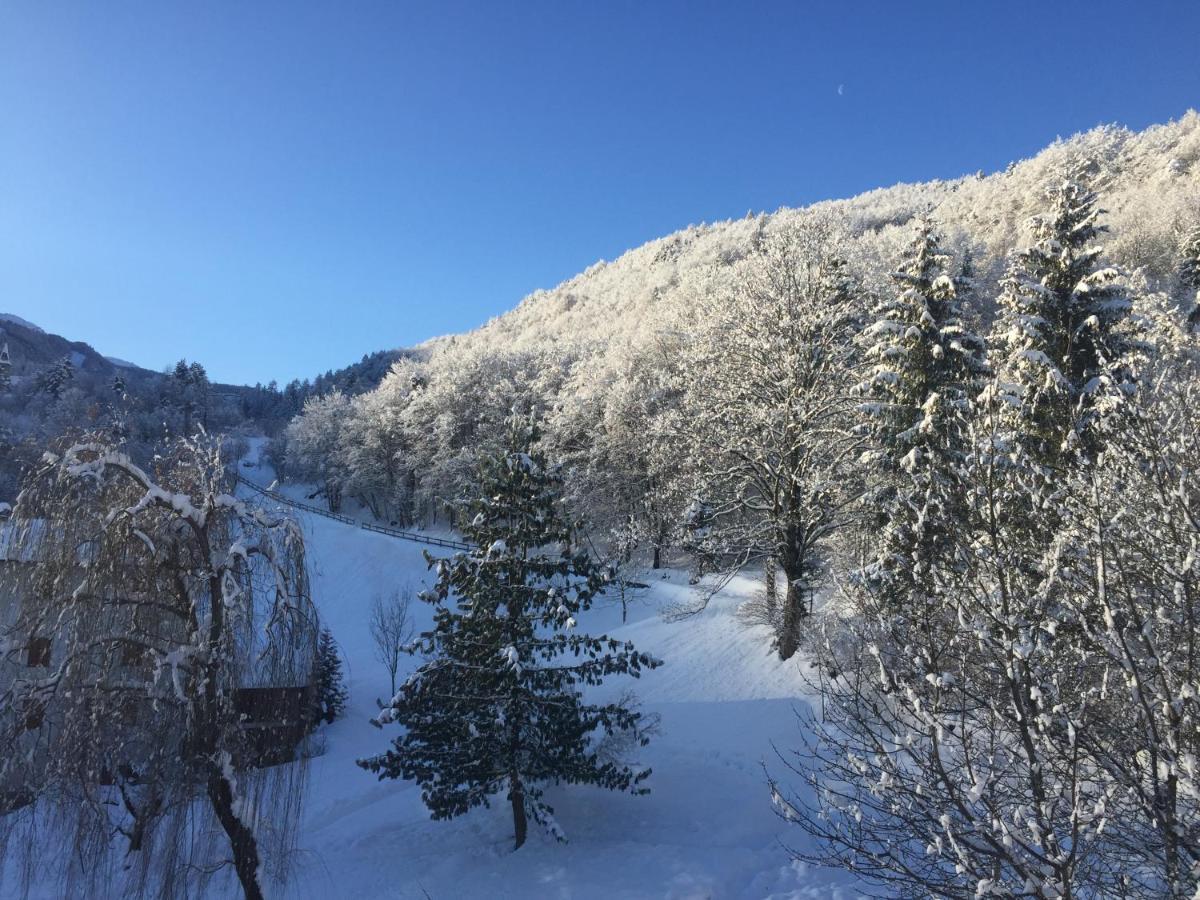 Casa Dalsass Leilighet Cavedago Eksteriør bilde